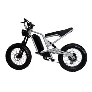 2024-CE-20innch-Electric-Bicycle-Electrically-Assisted-Bicycle-Off-road-Mountain-Bike.jpg_640x640.webp
