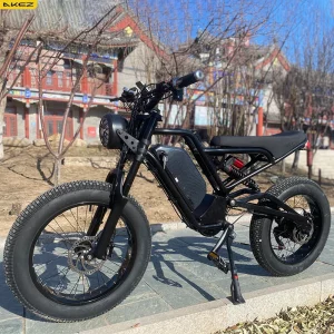 AKEZ-Adult-Electric-Bicycle-with-Hydraulic-Brake-Electric-Bike-20-4-0-Off-Road-Fat-Tire-16.webp