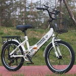 Fold-Bicycle-18-20-22-Inch-Bike-Variable-Speed-Mountains-Light-Casual-Travel-Riding-Aldult-Portable-7.webp