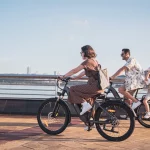 EU-Warehouse-2024-Adult-Electric-Bicycle-City-Electric-Bicycle-Battery-Detachable-Professional-Electric-Bicycle-3.webp